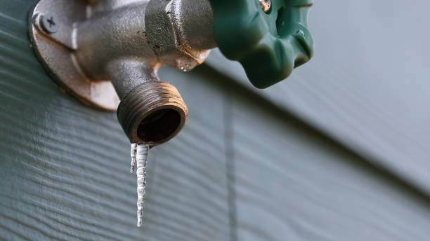 Best Emergency Plumber  in Carthage, MS